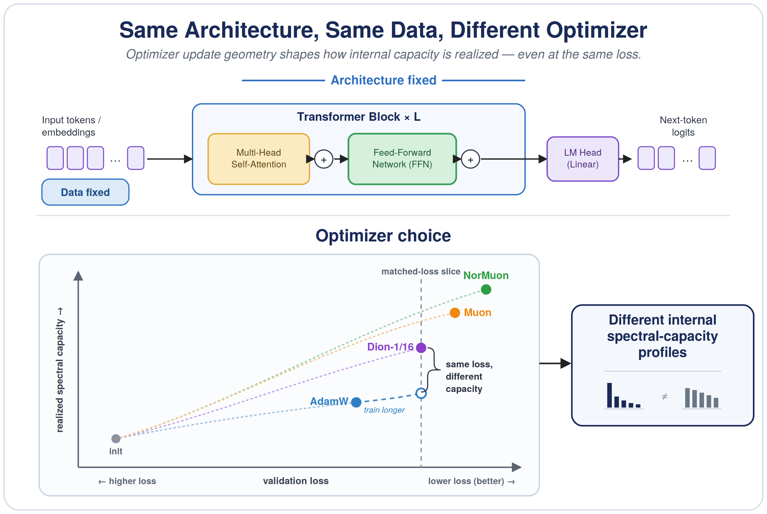 Same architecture, same data, different optimizer conceptual setup