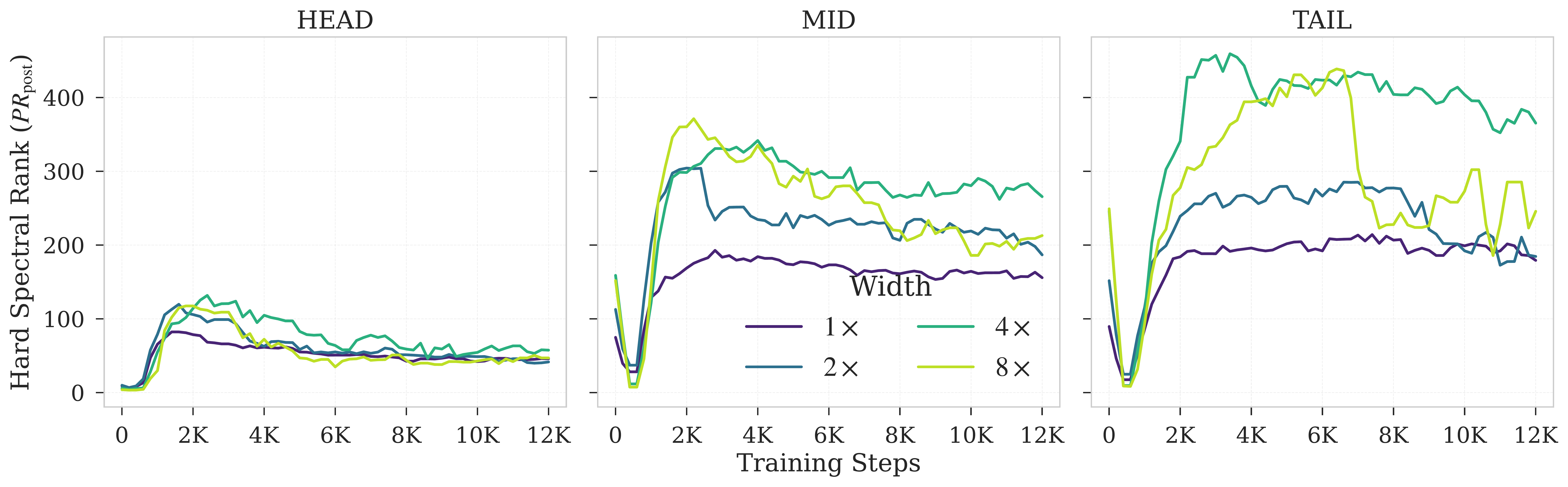 Hard-rank dynamics under extended AdamW training