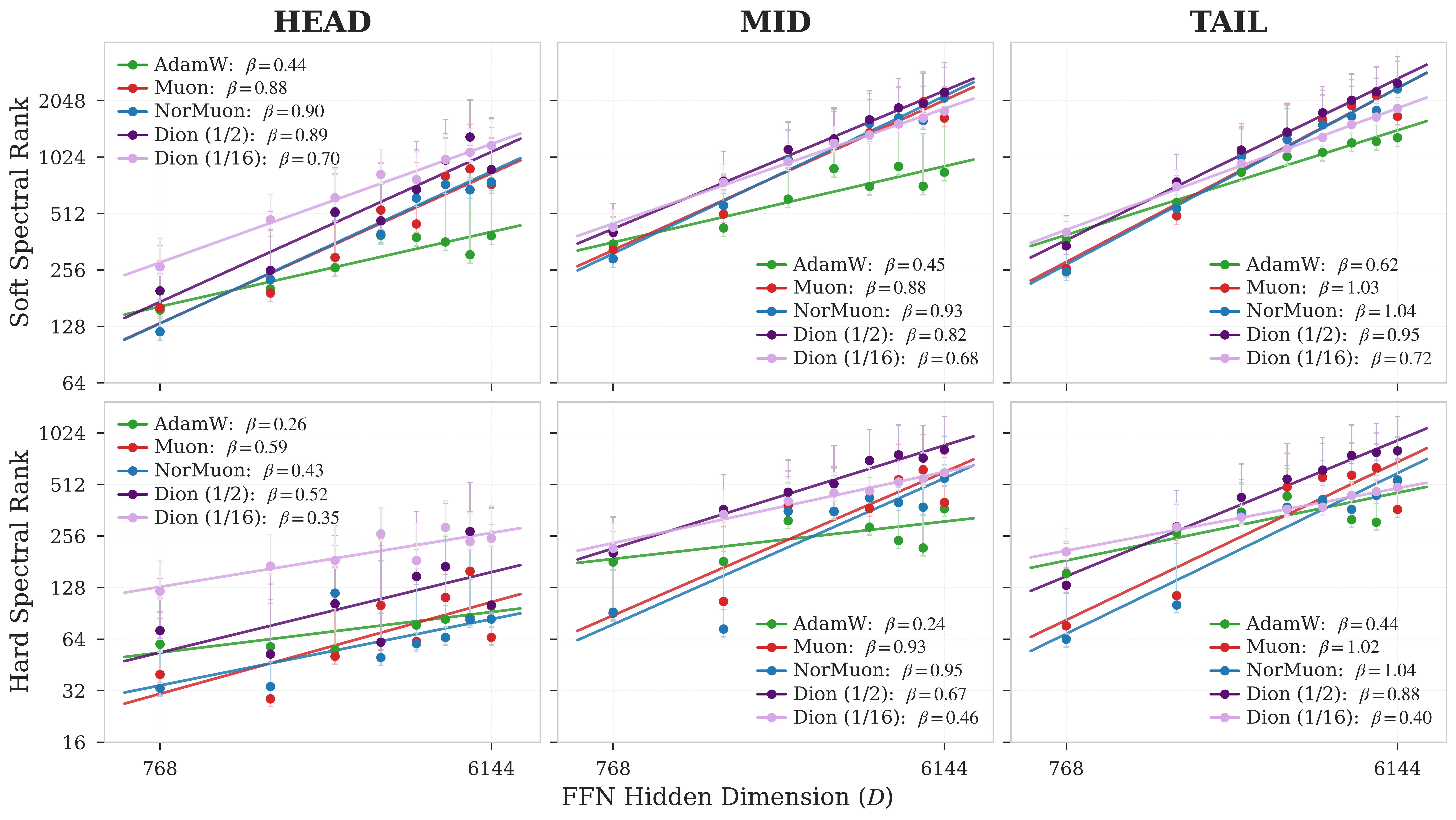 Optimizer-dependent spectral scaling across token-frequency regimes