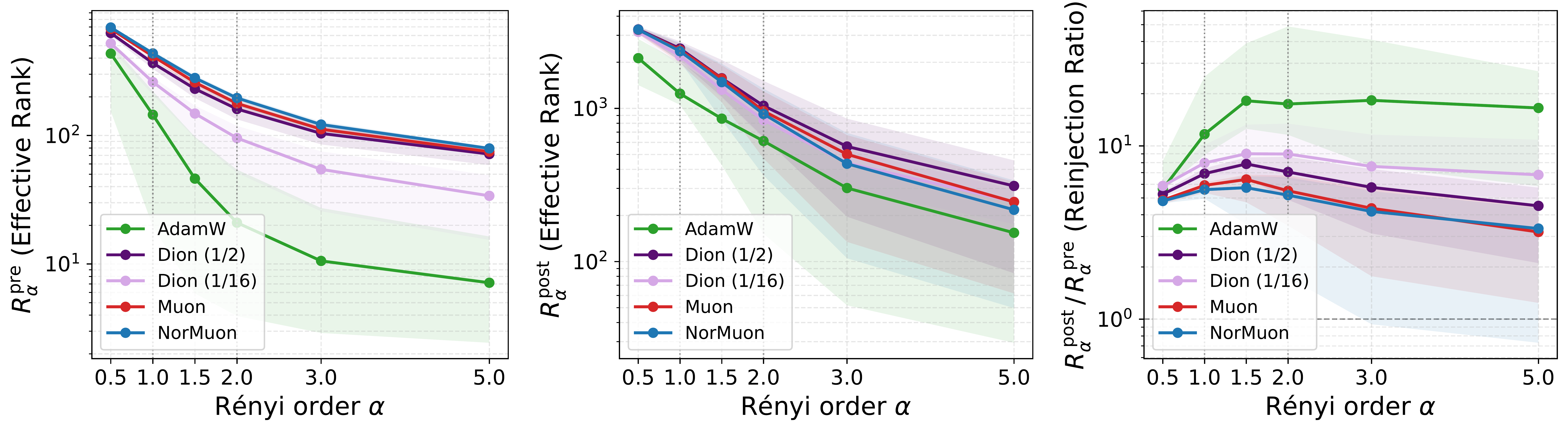 Renyi family analysis